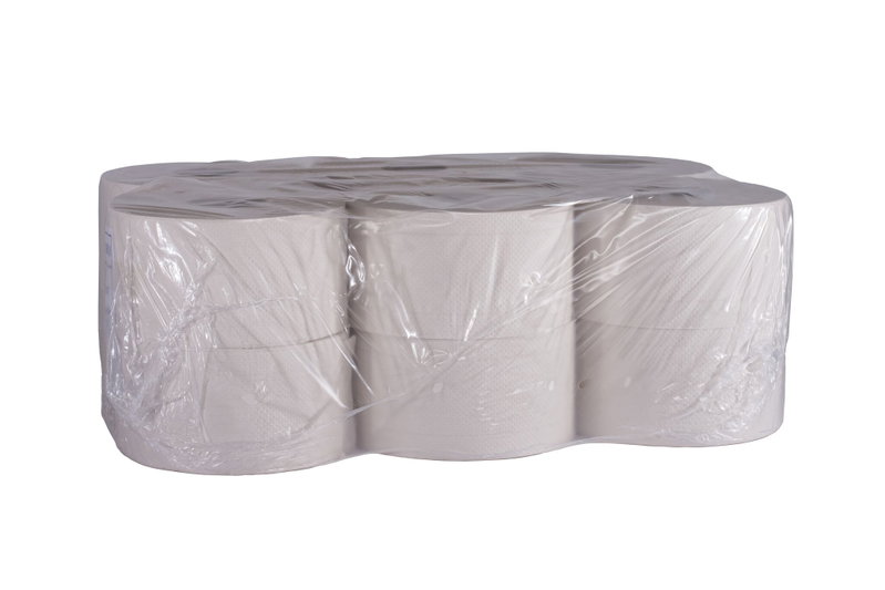 Fripa Toilettenpapier Maxi Zellstoff 2/200