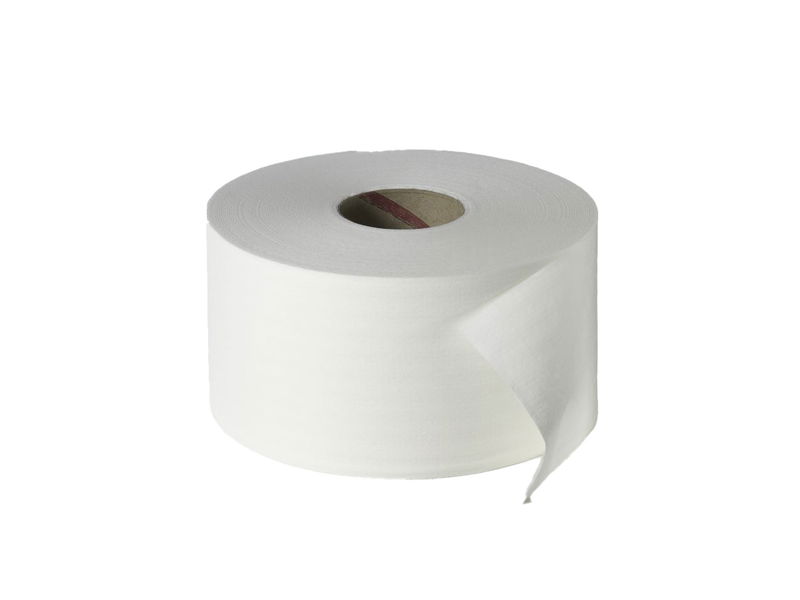 Fripa Toilettenpapier Maxi Zellstoff 2/200